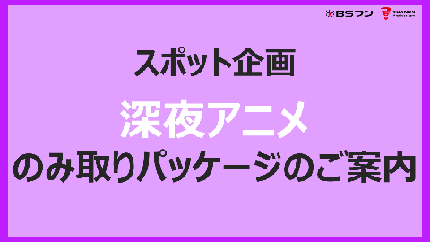 企画書詳細 Sales Guide セールスガイド
