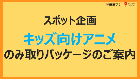 企画書詳細 Sales Guide セールスガイド